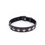 ST Collar Con Tachas Collar sexshop